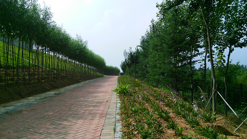 濟(jì)南市第三生活垃圾無(wú)害化處理廠填埋場(chǎng)景觀綠化工程第一標(biāo)